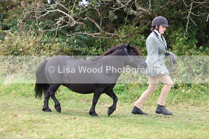 3E7A4603 - Class 16: Best Grass Kept