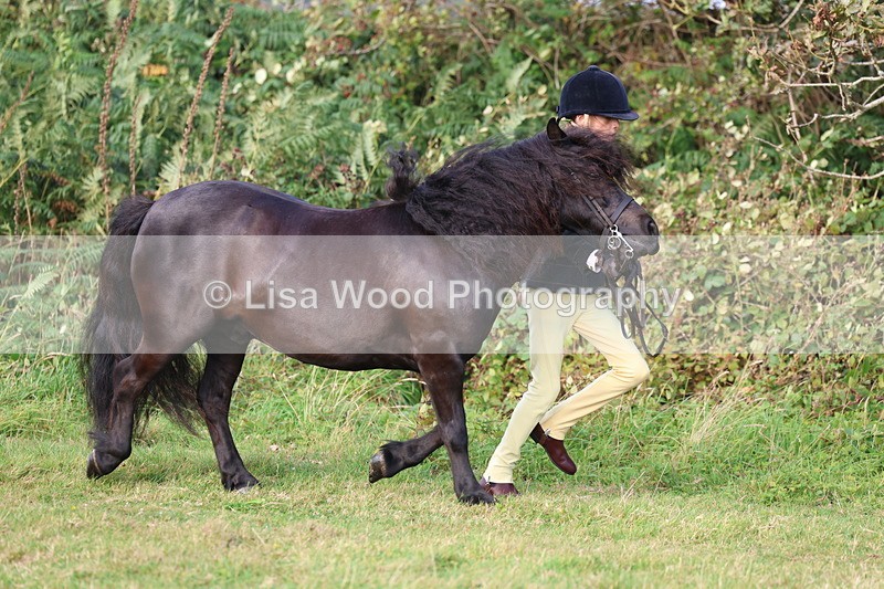 3E7A3134 - Class 12: M & M Small Breeds