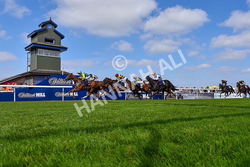 310824-Race 3-Frank The Spark-5931 - Race 3