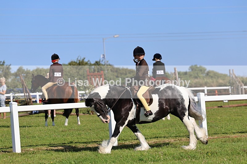 IMG_1526 - Class 30: Ridden Native/Trad Coloured Pony