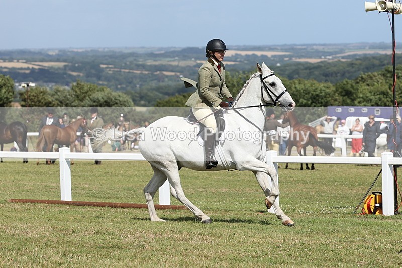 JPP_2480 - Class 19: Working Hunter 60cm