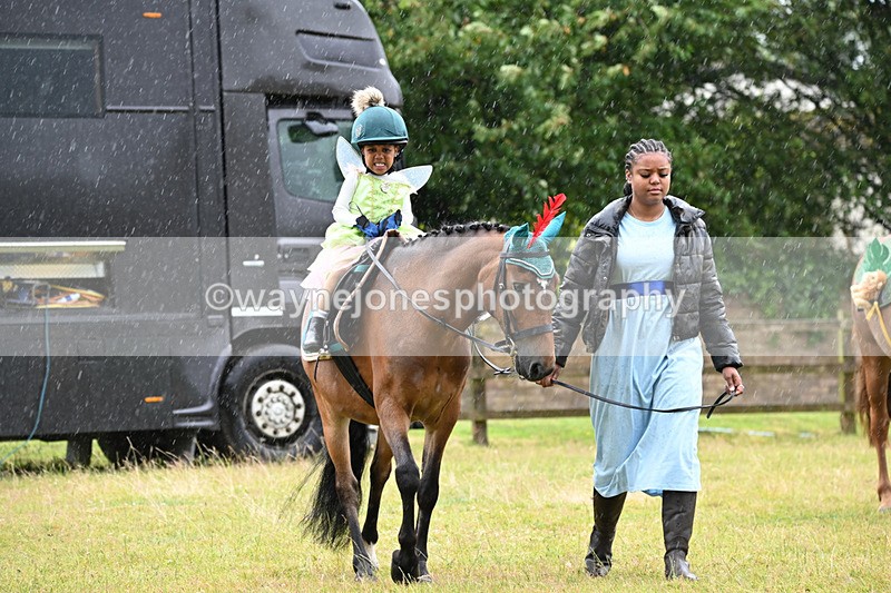 WJ6_9128 - Class 11 Fancy Dress