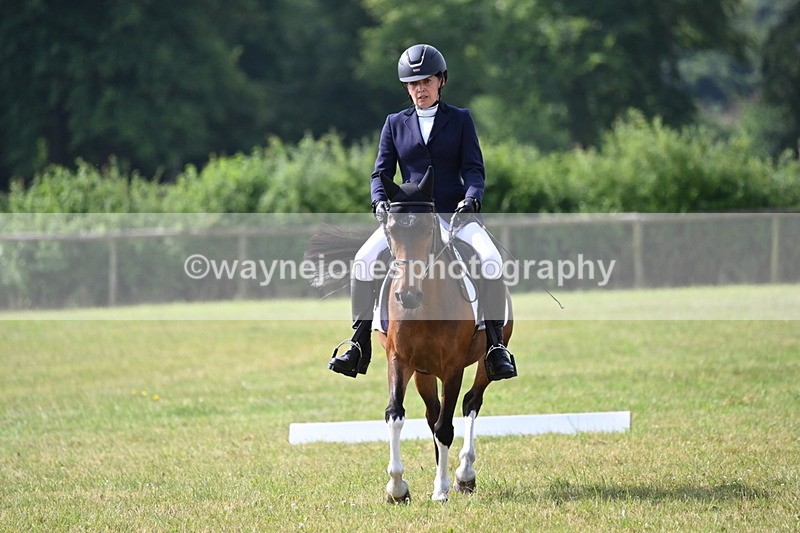 WJ6_5549 - Time 09:00 to 09:42