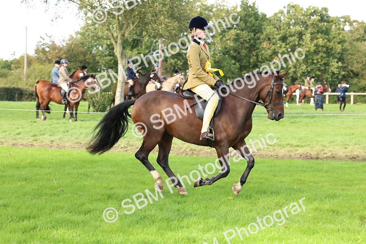 SBM_46352 - Working Hunter Pony Supreme Championship