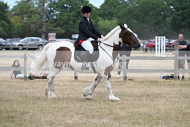 WJ7_1381 - Class 8 Ridden Veterans