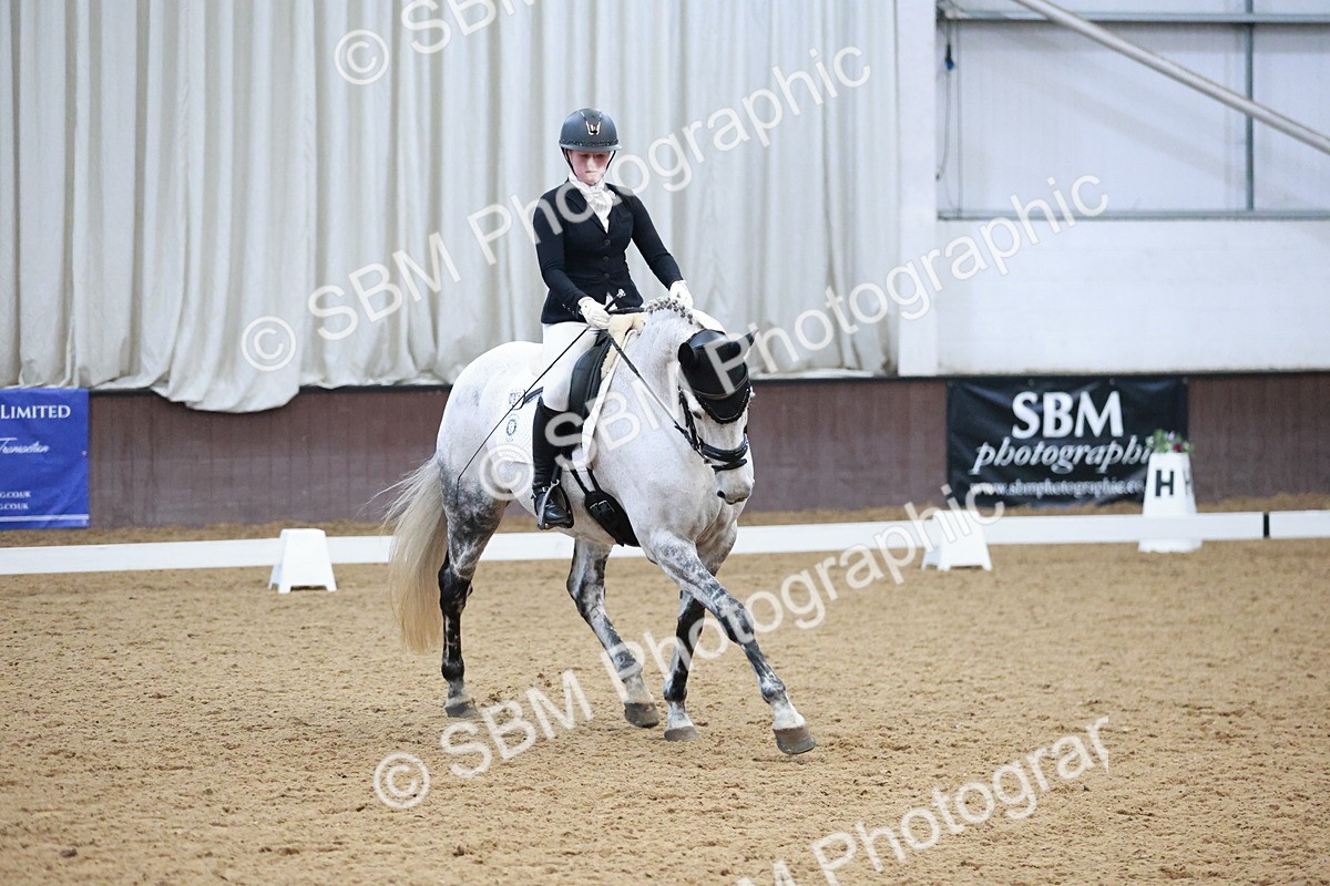 SBM_004530 - Ring 3 - International -  Working Hunter Classes 23-2-25