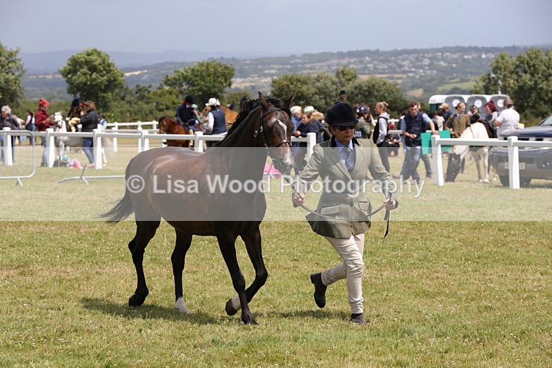 1X9A4797 - Class 35: Veteran In Hand