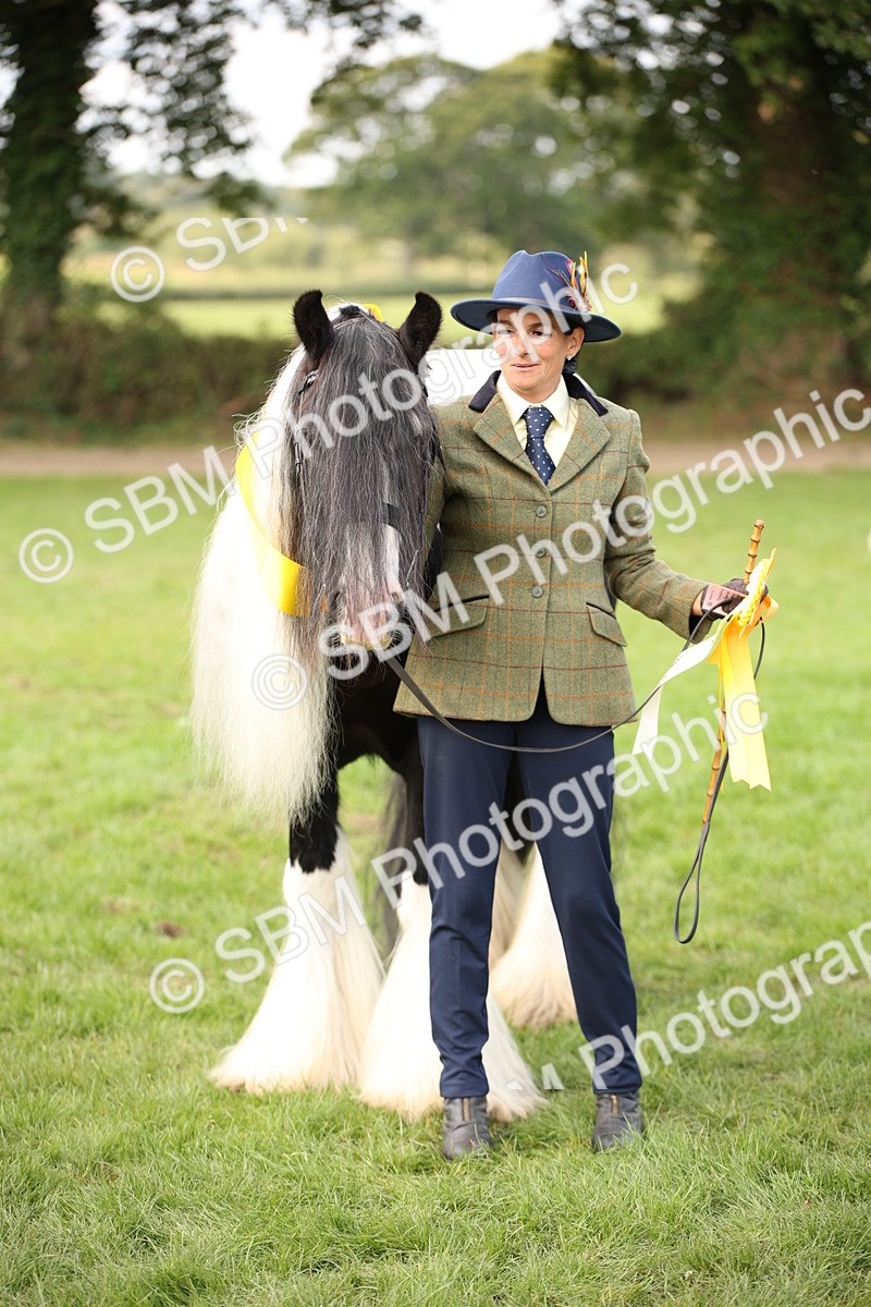 SBM_62312 - S55 - Traditional Cob In Hand