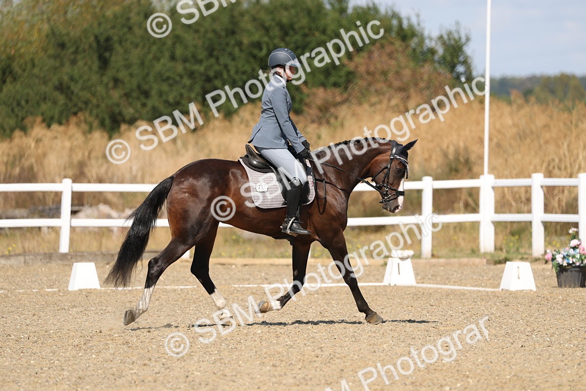 SBM_013608 - Class 1 - P5 Bronze 10.38.12.02