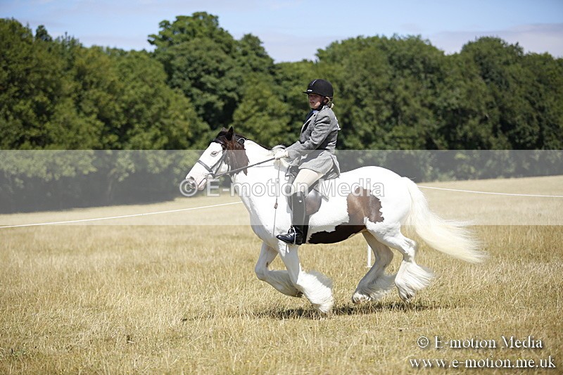 _C7A9925 - BVRC Show 2018 Ring 1