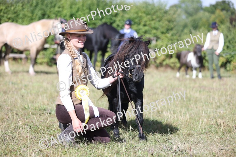 20250831-1548 - Class 21 - Inhand Open