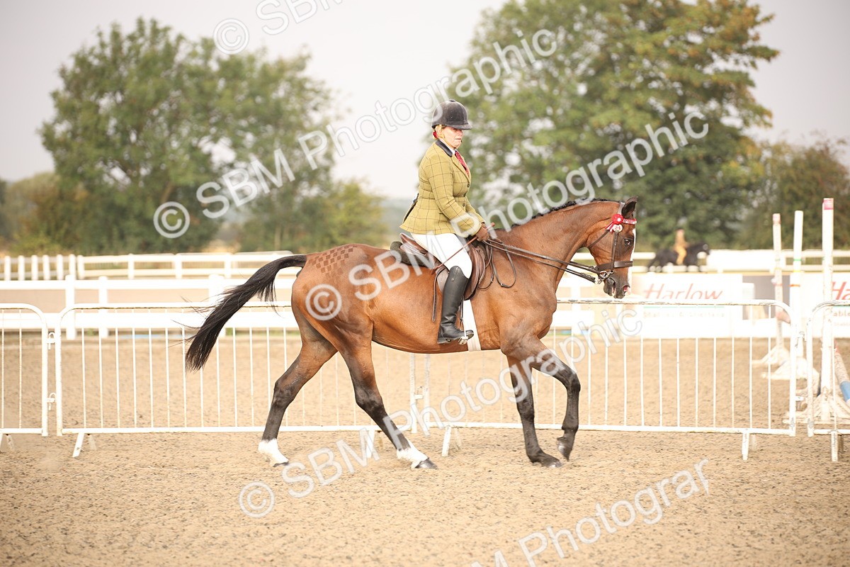 SBM_10210 - Class 402 Riding Club Horse