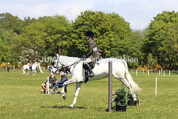 IMG_3962 - Working Hunter