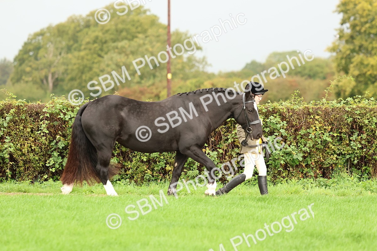 SBM_32904 - S8 - Best Turned Out