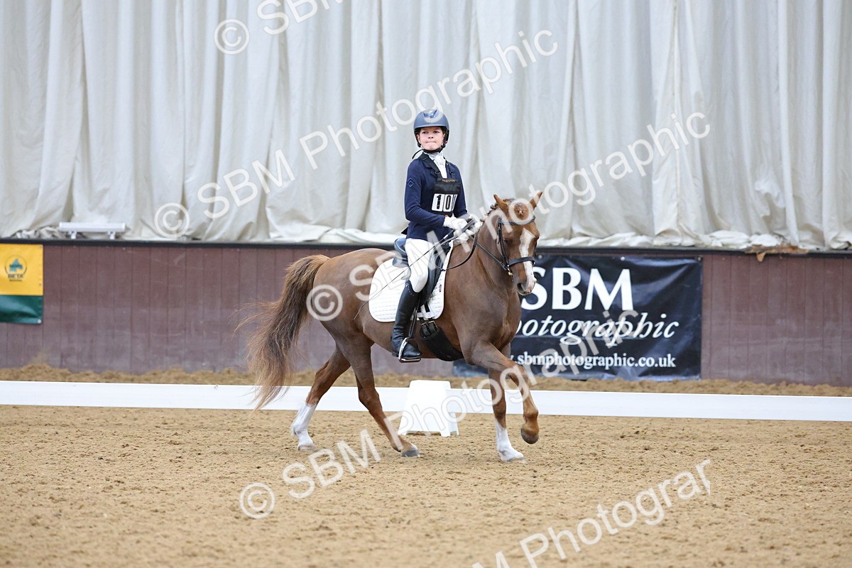 SBM_003679 - Novice
