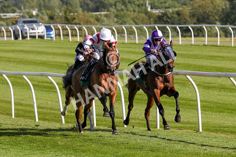 080624-Race 7-Starshine Legend-5096 - Race 7