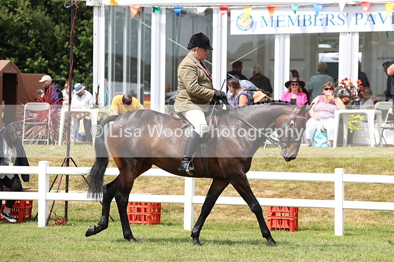 3E7A0793 - Class 8: Open Riding Horse/Hack