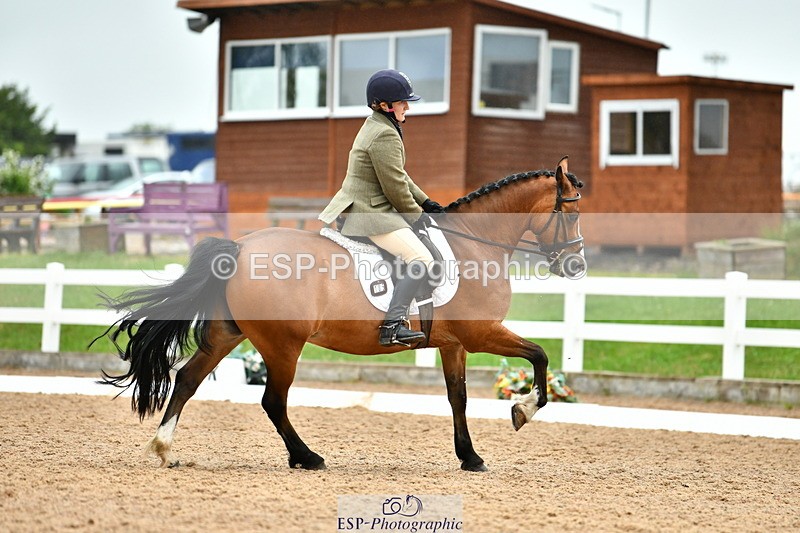 230630A-154720-03364 - Cls 1+5 Quest Intro A + Prelim 2