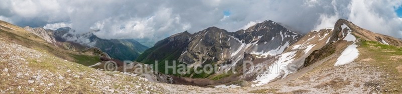  - Flowers in the Landscape - 2