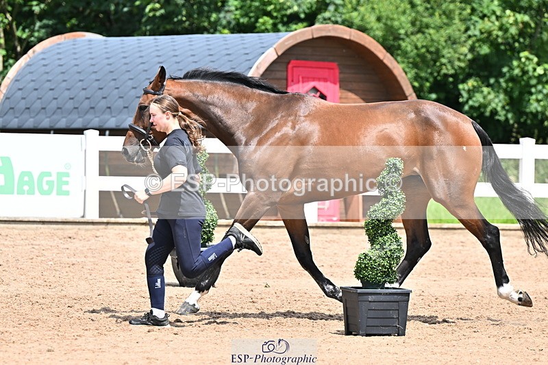 240718A-105306-01574 - Trot Up 1pm to 2pm