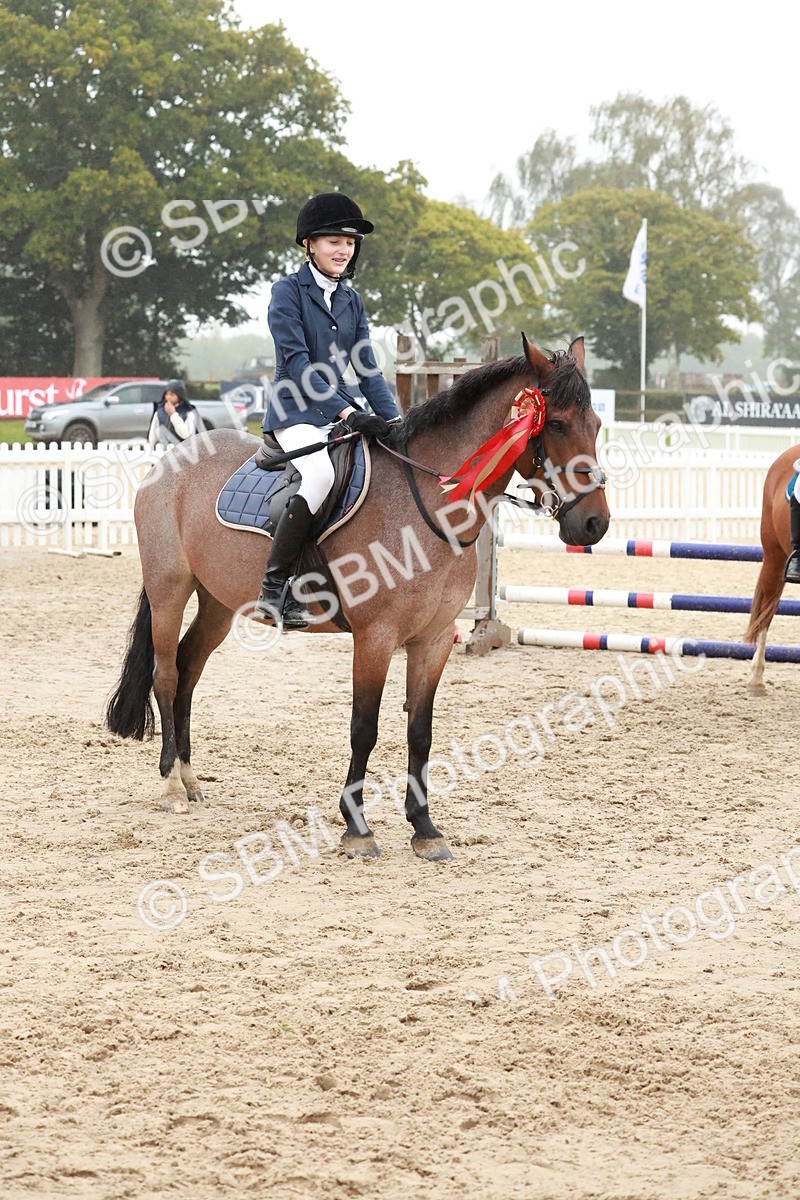 SBM_73547 - Supreme Championship Junior Pony 60cm & 65cm