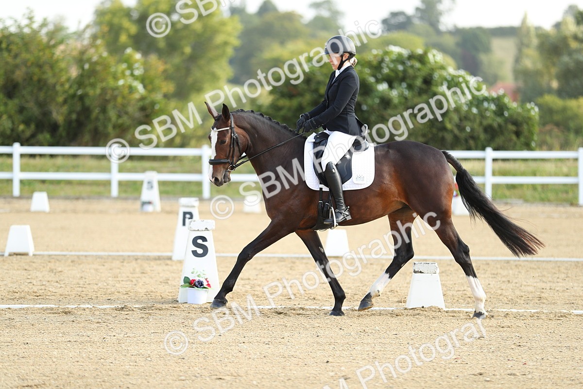 SBM_015011 - Class 13 - Novice 23 - 8,30-9.33