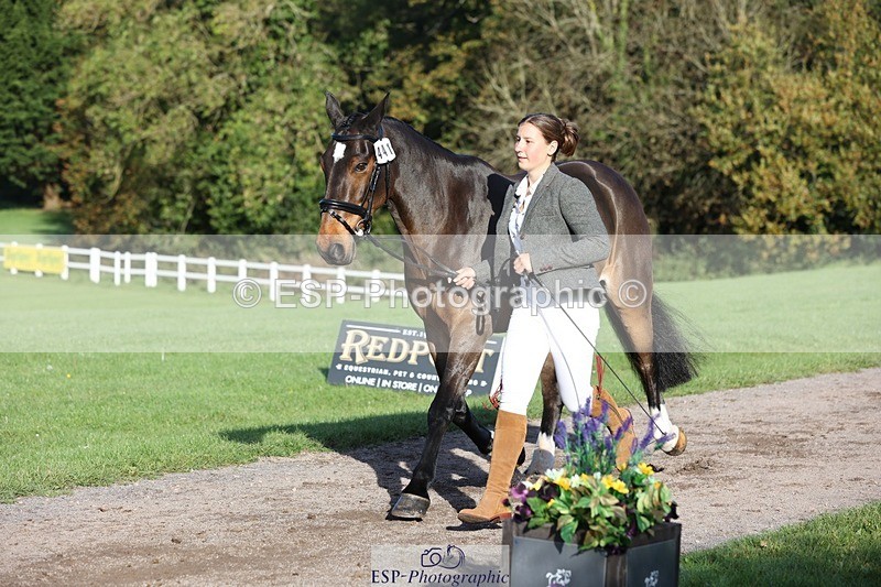 241027-093853-15414 - 441-Molly.Swain-SOCKS