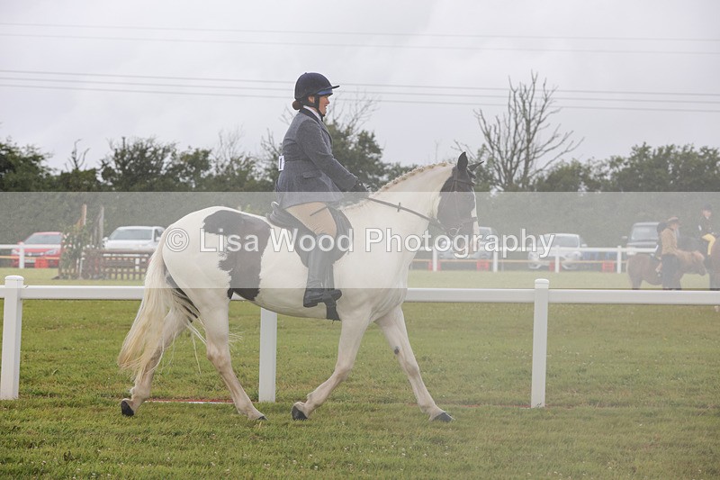 1X9A2990 - Class 26: Ridden Plaited Coloured Pony