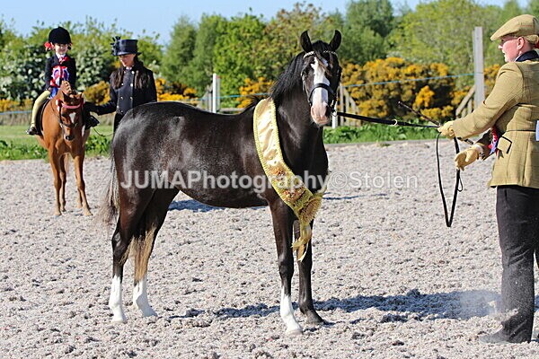 SIAL2373 - Outdoor championship & supreme