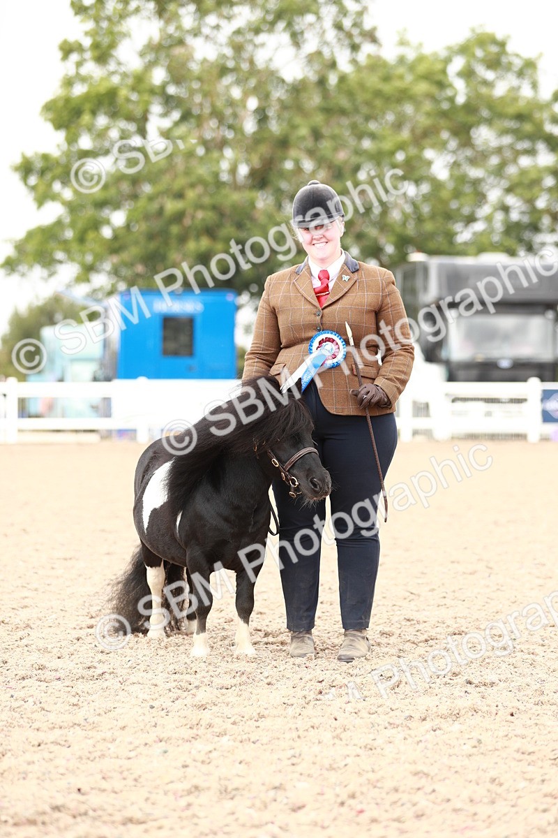 SBM_12556 - Class 207 IH M&M