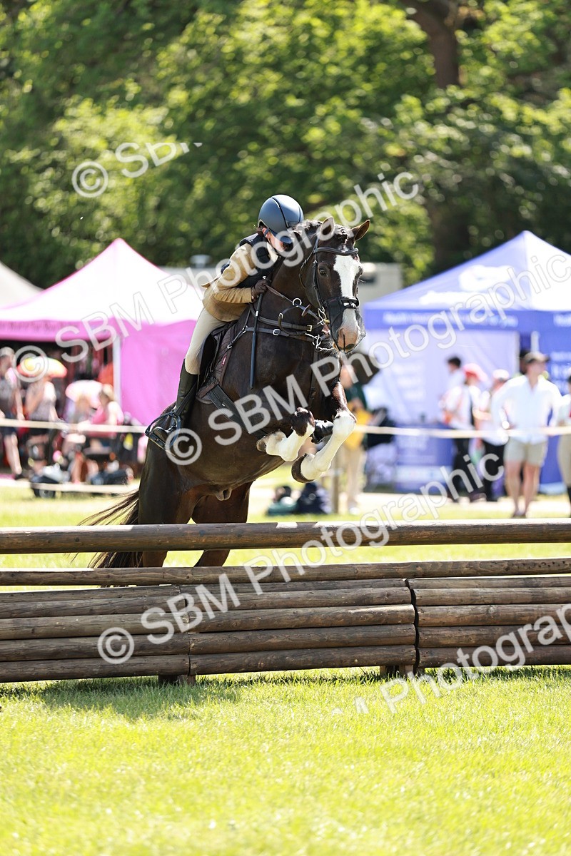 SBM_17593 - Class 112-113 - BSPS LIHS Working Sports Pony