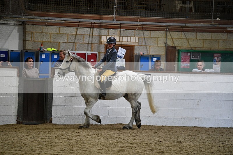 WJ5_7911 - Class 13 Ridden Part Breed