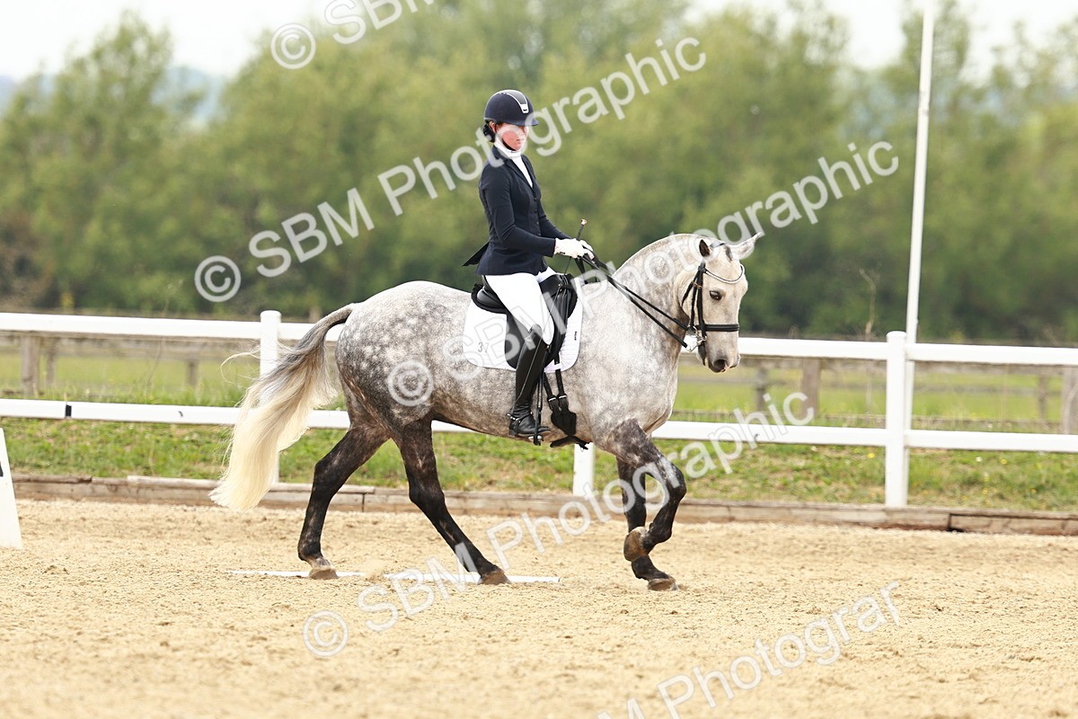 SBM_002564 - Class 12 - Medium 4