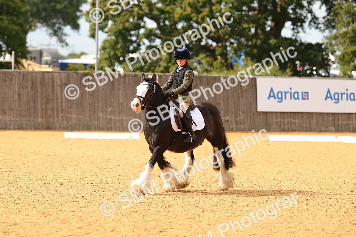 SBM_48221 - D22 - Junior Championship - Intro B