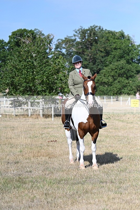 WJ7_2871 - Class 8 Ridden Tack & Turnout