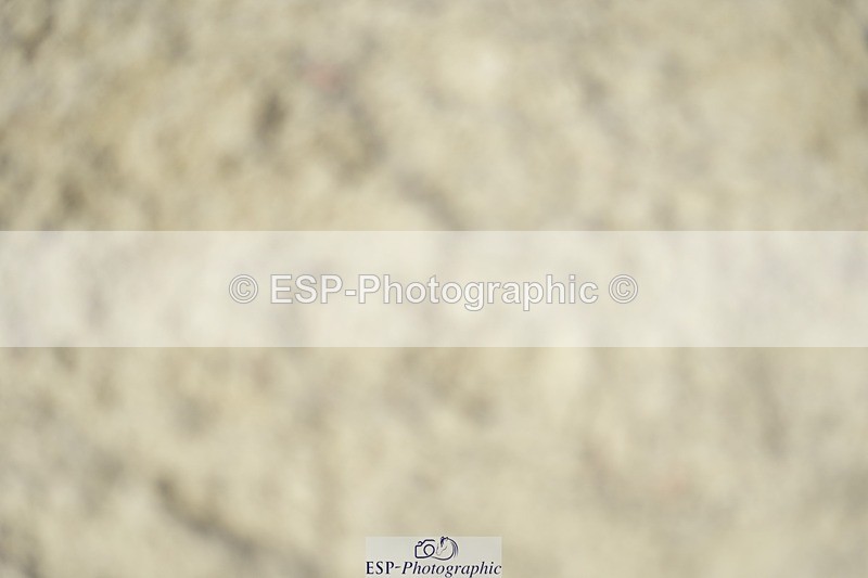 230909-123616-05728 - Cls 17 Snr 1.05m Open