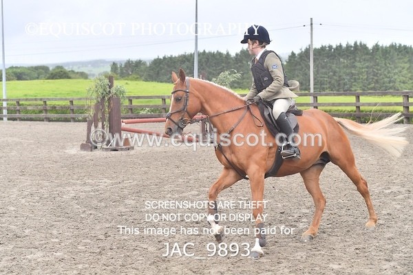 JAC_9893 - CLASS 3 Intermediate Working Hunter (0.70m - 0.85m)