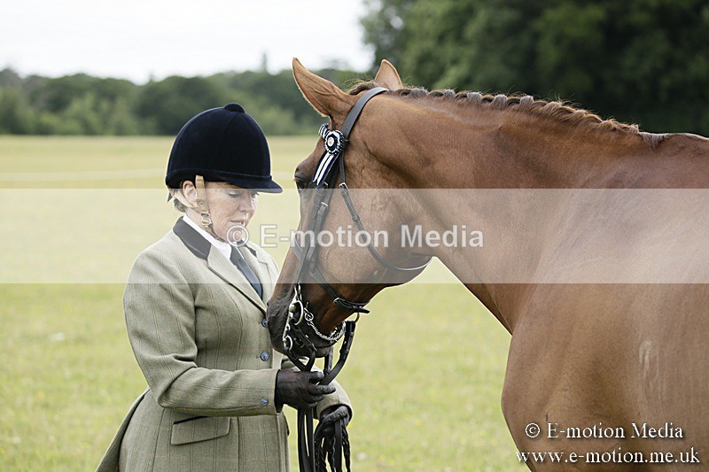 BVR160717-216 - Ring 2 BVRC Show 16/07/17