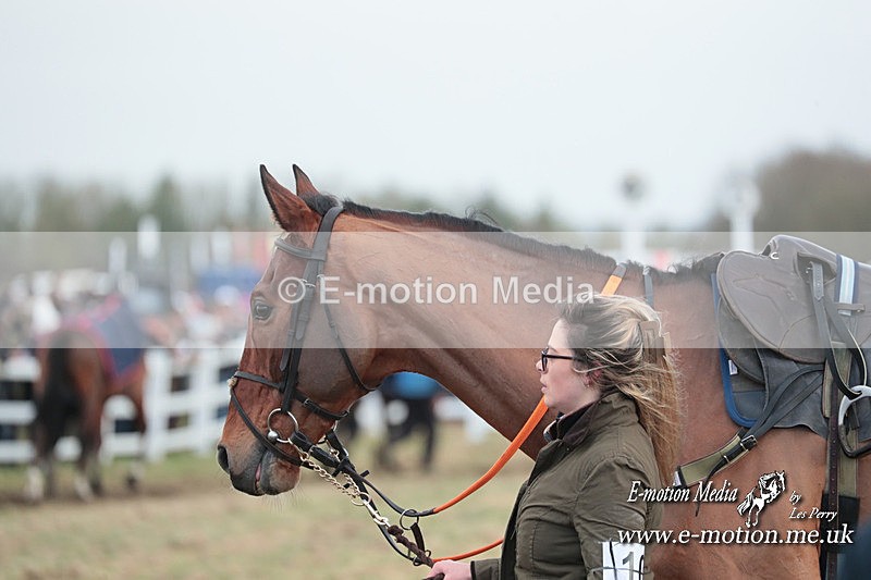 PtP 311223 204 - Larkhill Racing Club Point-to-Point 31/12/23