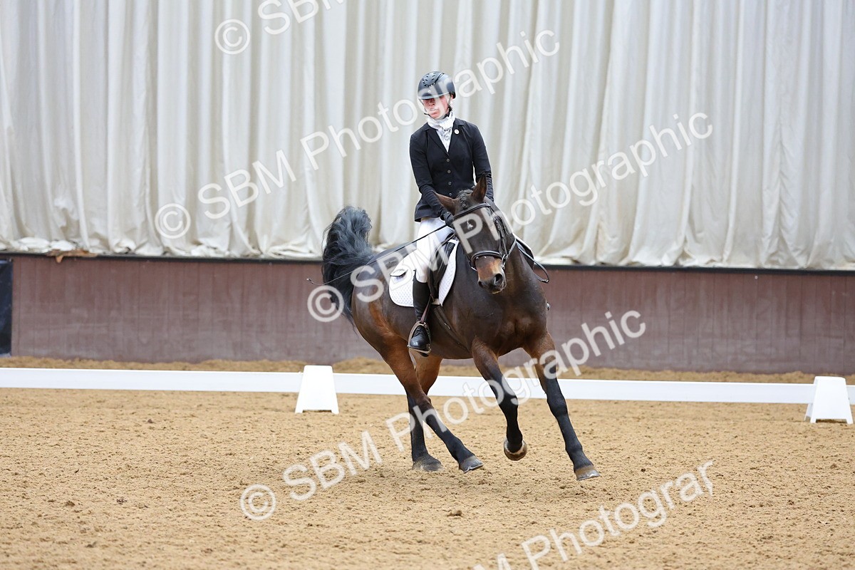 SBM_002731 - Novice