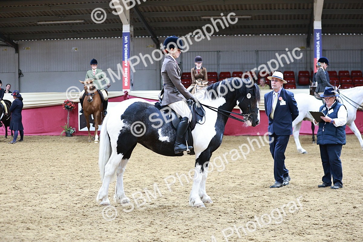 SBM_03643 - Class 6A Area Ridden Pre-Vet