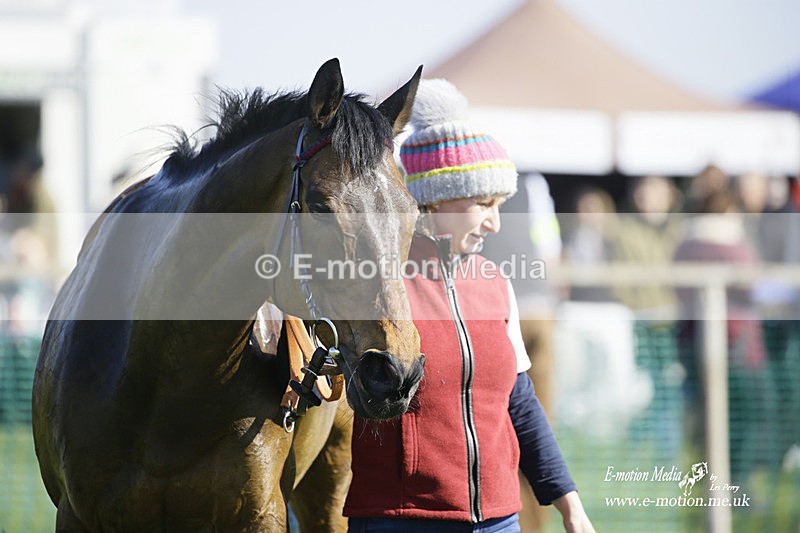 PtP 190322 424 - Wilton Hunt PtP Milborne St Andrew 19/03/22