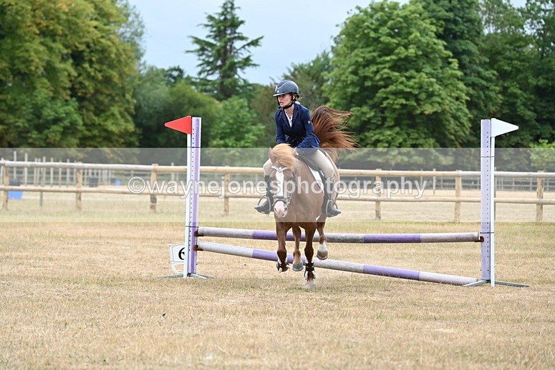 WJ6_0398 - Class 13 Novice Jumping 60cm