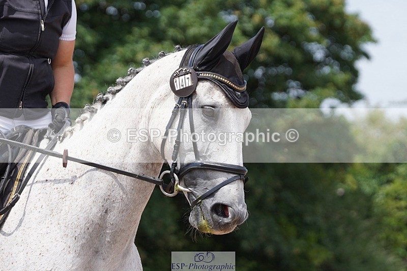 250621-134424-09368 - RoR Cls 2b-2c, Intro