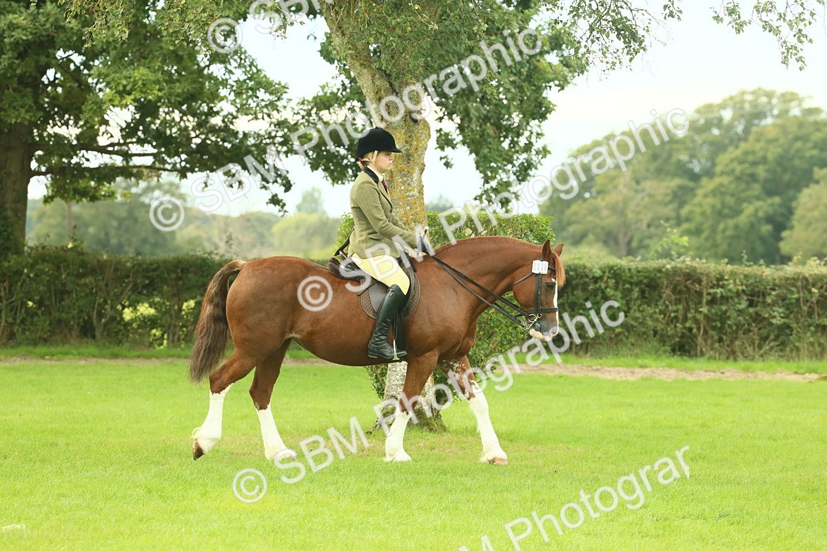 SBM_71818 - S60 - Mountain & Moorland Ridden Large Breeds