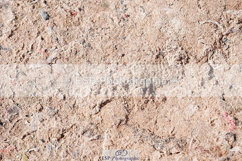 250427-132524-16508 - Cls 8 - 2 Star Medium Tour