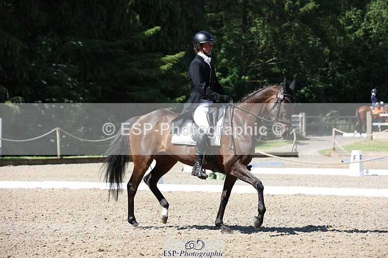 230526-102908-05267 - 361-FINCH_FANCY-Ben_Lee_Liles-WEDTrotUp+DR