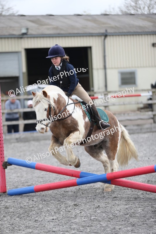 20260412-0158 - Show Jumping