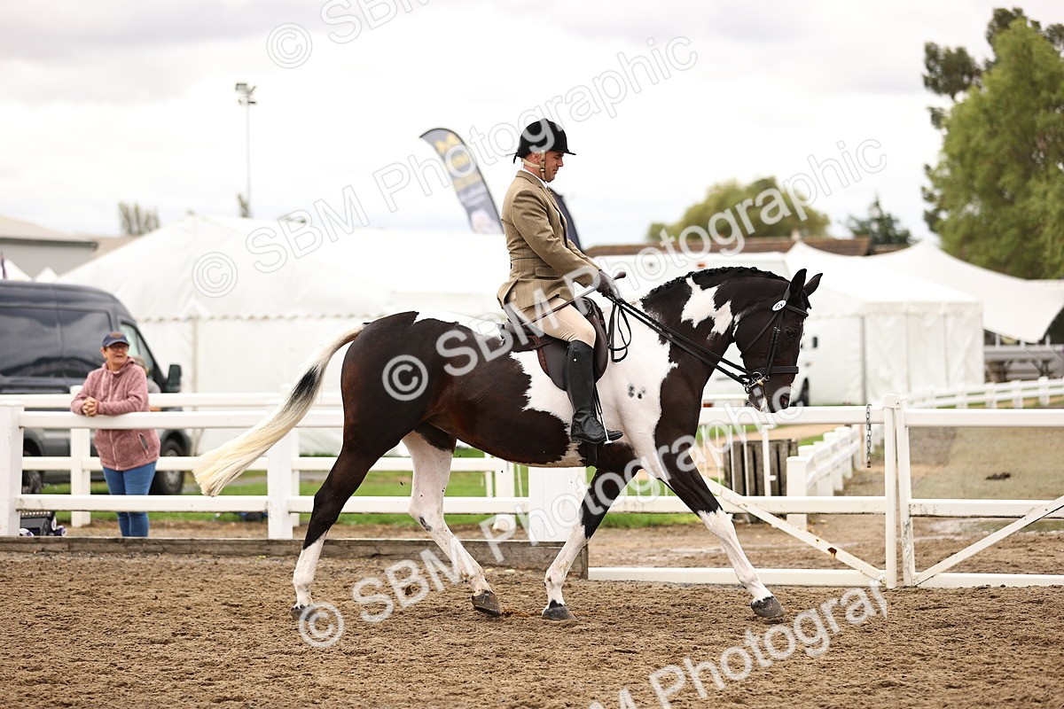 SBM_01340 - Class 54 - Riding Club Horse Pony