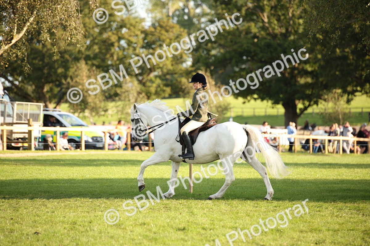 SBM_54407 - S27 - Mature Veteran - Ridden